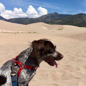 Meet your Posher, Matthew